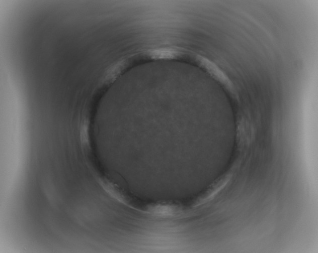 X0000111050209200907021626