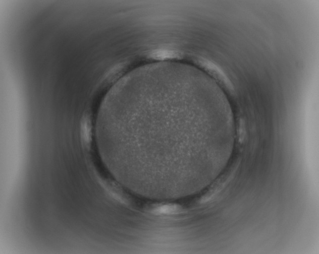 X0000111050210200907021626