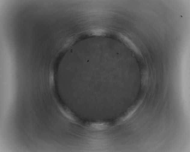 X0000111050213200907021626