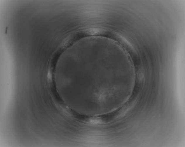 X0000111050214200907021626