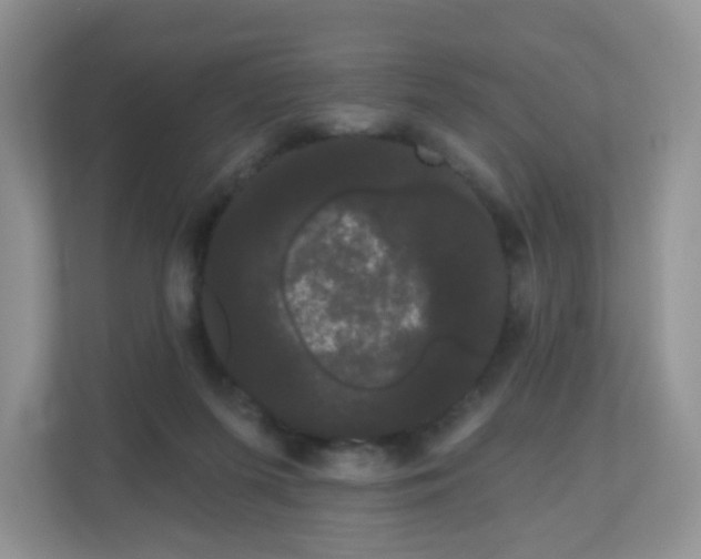 X0000111050215200907021626