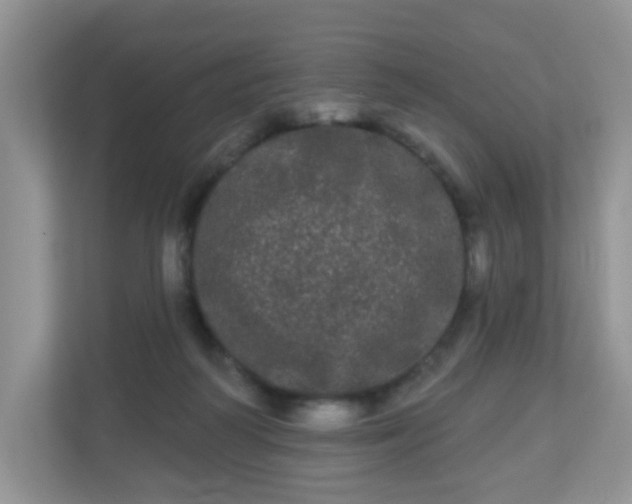 X0000111050218200907021626