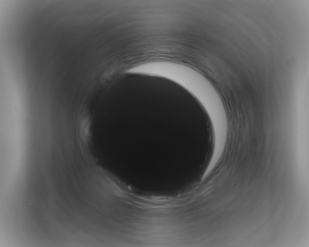 X0000111050219200907021626