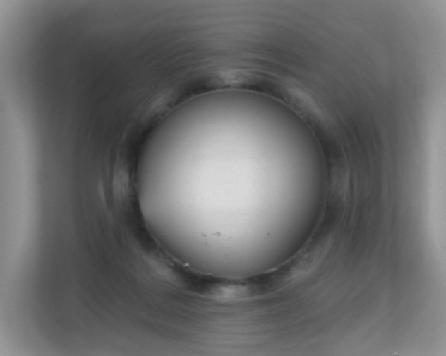 X0000111050220200907021626