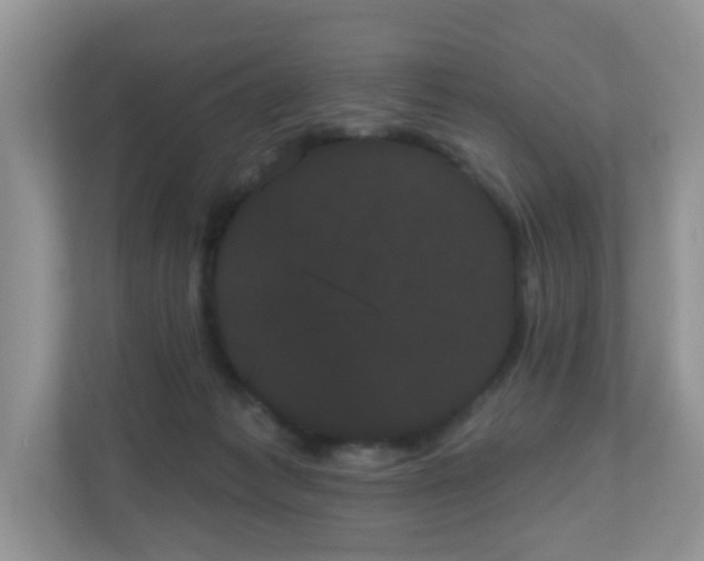 X0000111050221200907021626