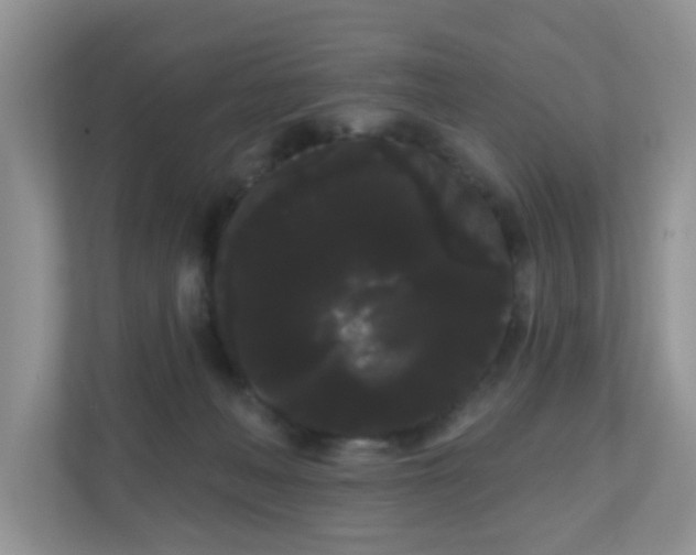 X0000111050222200907021626