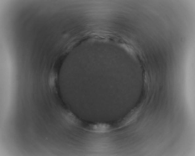 X0000111050225200907021626