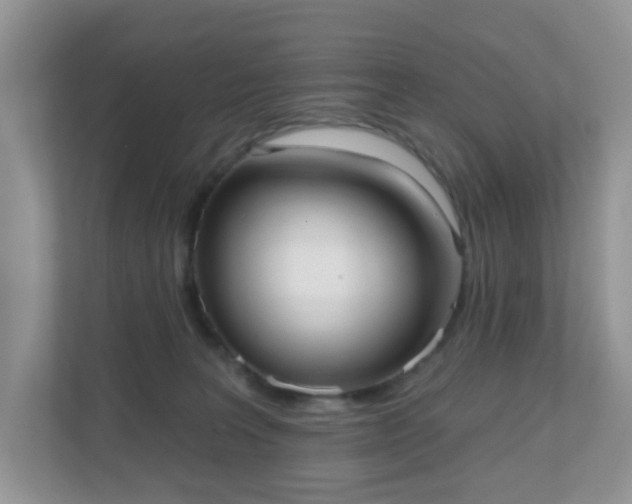 X0000111050227200907021626