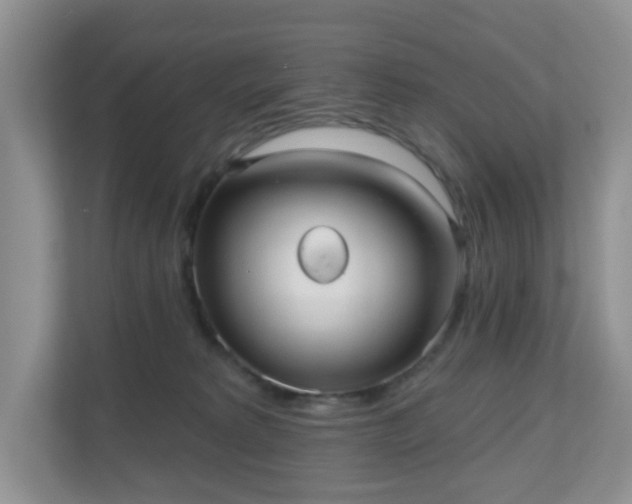 X0000111050229200907021626