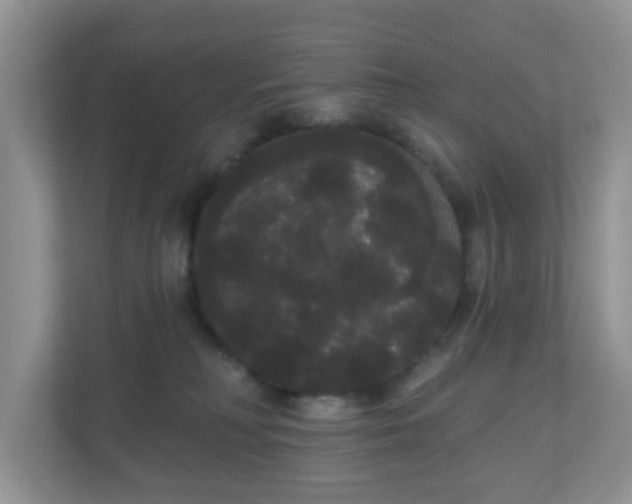 X0000111050230200907021626