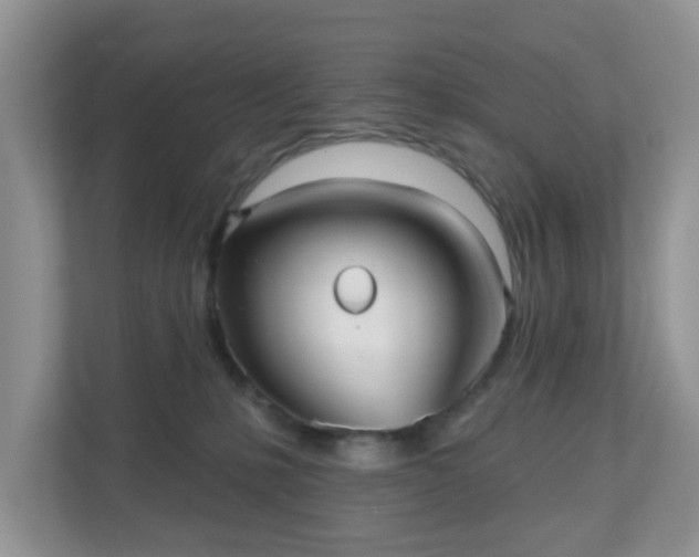 X0000111050231200907021626