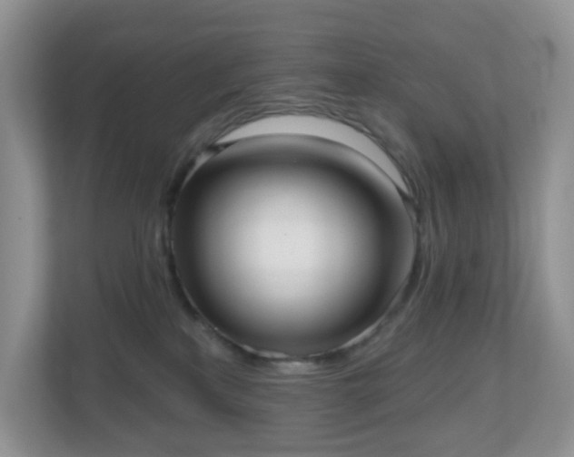 X0000111050233200907021626