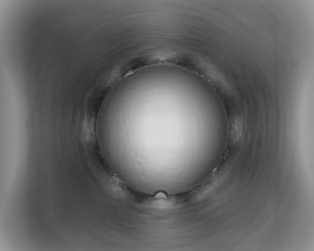 X0000111050236200907021626