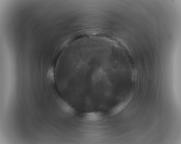 X0000111050238200907021626