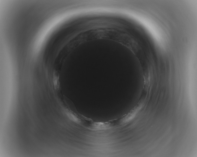 X0000111050239200907021626