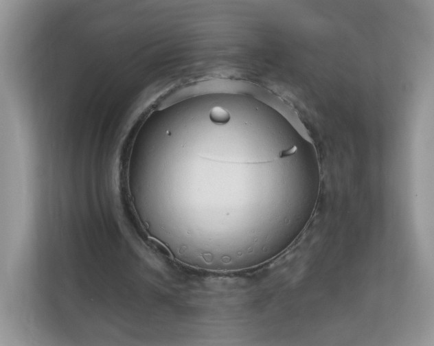 X0000111050242200907021625