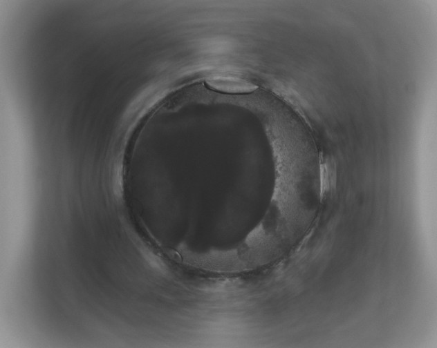 X0000111050243200907021625