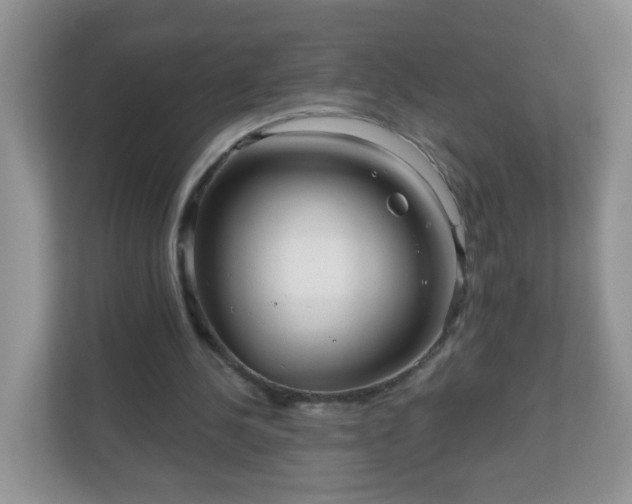 X0000111050244200907021625