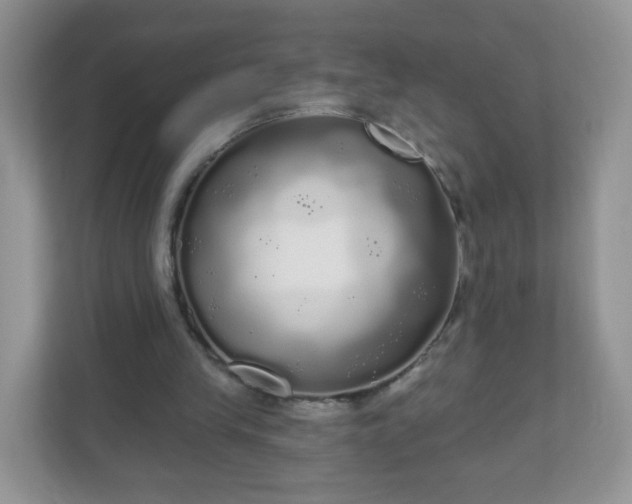 X0000111050245200907021625