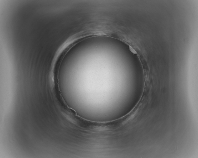 X0000111050246200907021625