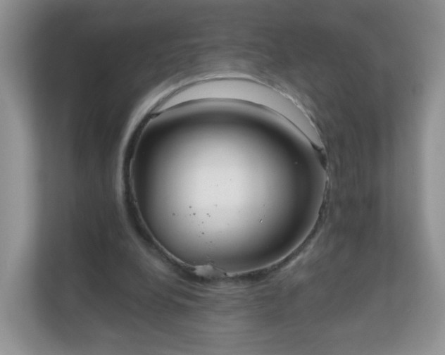 X0000111050248200907021625