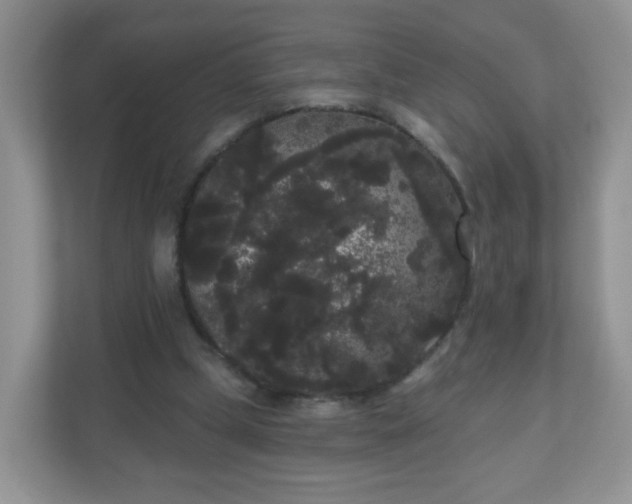 X0000111050249200907021625