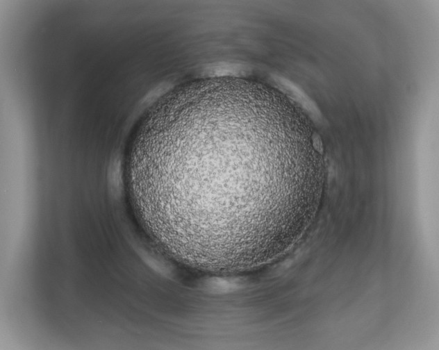 X0000111050250200907021625