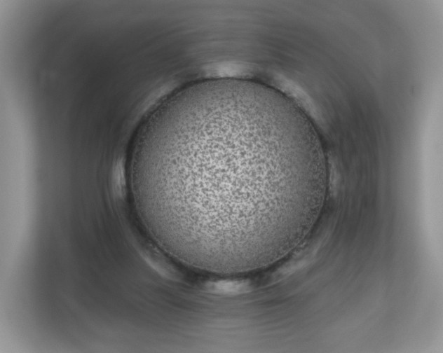 X0000111050251200907021625