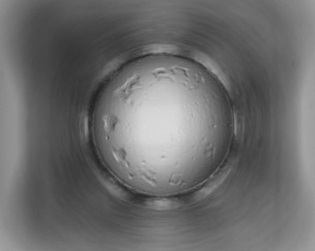 X0000111050253200907021625