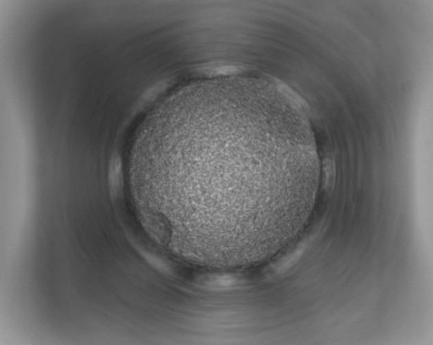 X0000111050254200907021625