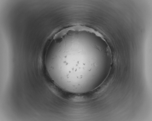 X0000111050256200907021625
