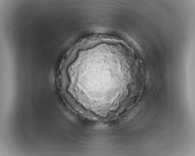 X0000111050257200907021625