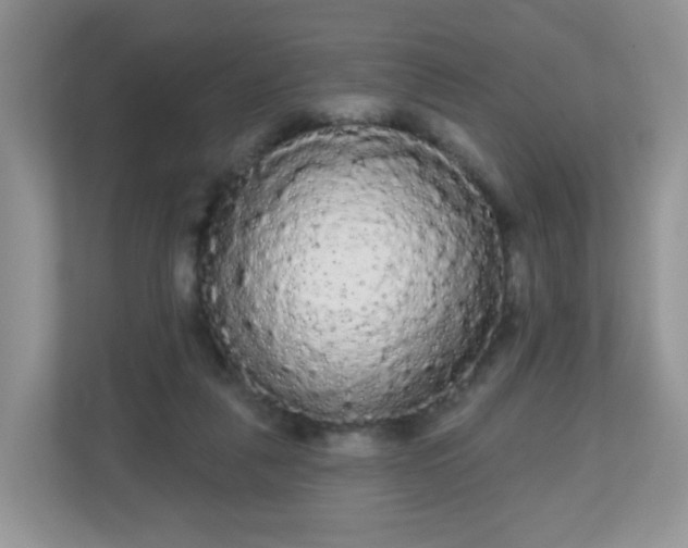 X0000111050259200907021625