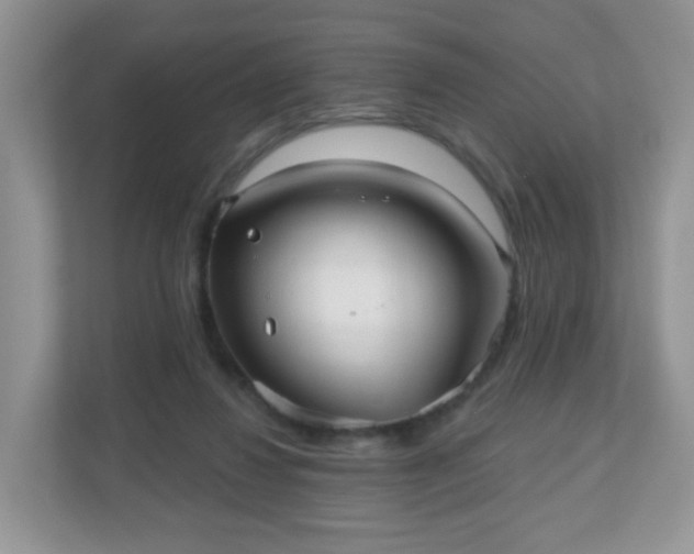 X0000111050260200907021625