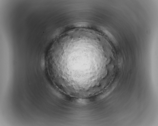 X0000111050261200907021625