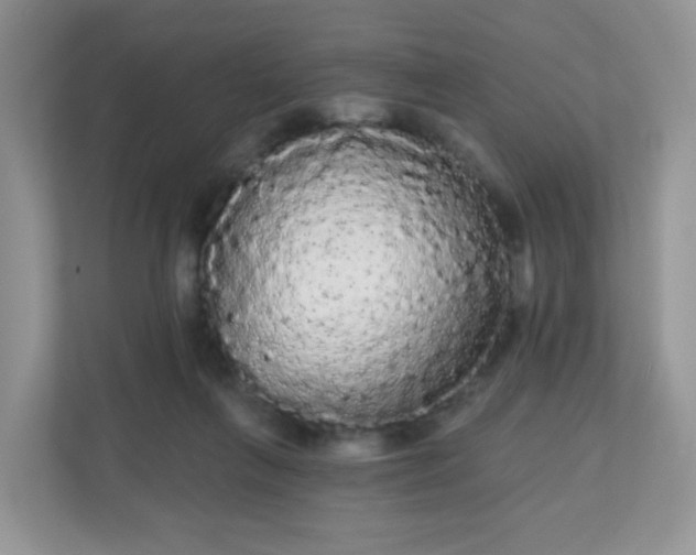 X0000111050263200907021625