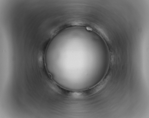 X0000111050265200907021625