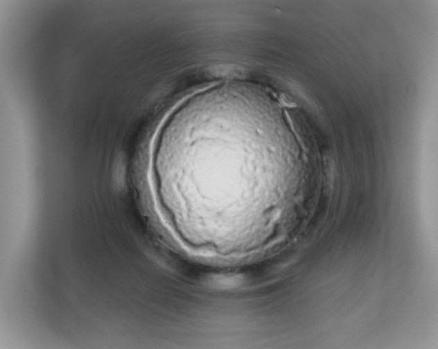 X0000111050266200907021625