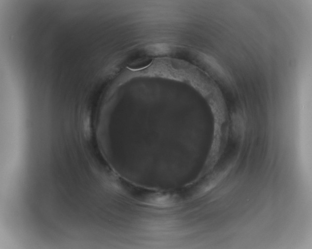 X0000111050267200907021625