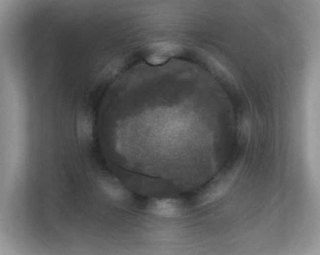 X0000111050268200907021625