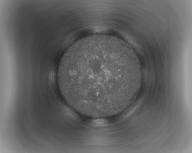 X0000111050269200907021625