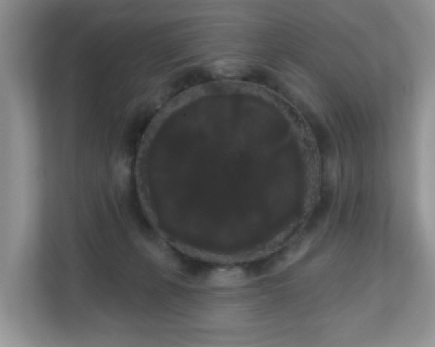 X0000111050271200907021625