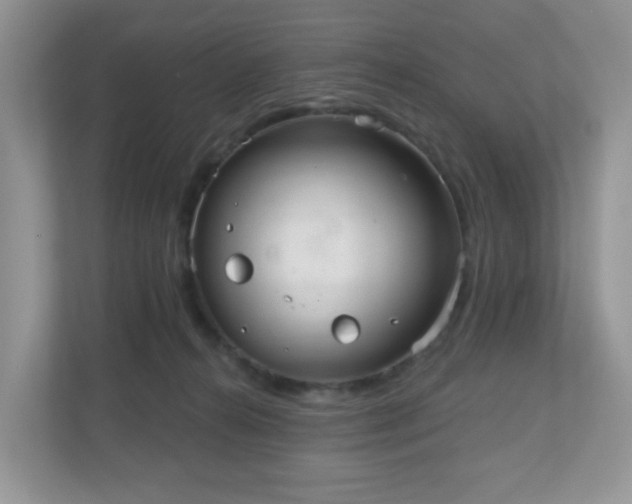 X0000111050272200907021625