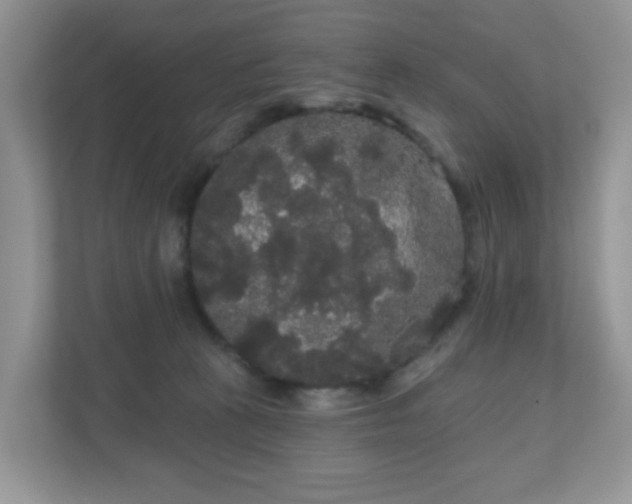 X0000111050273200907021625