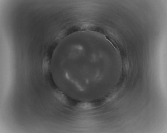 X0000111050276200907021625