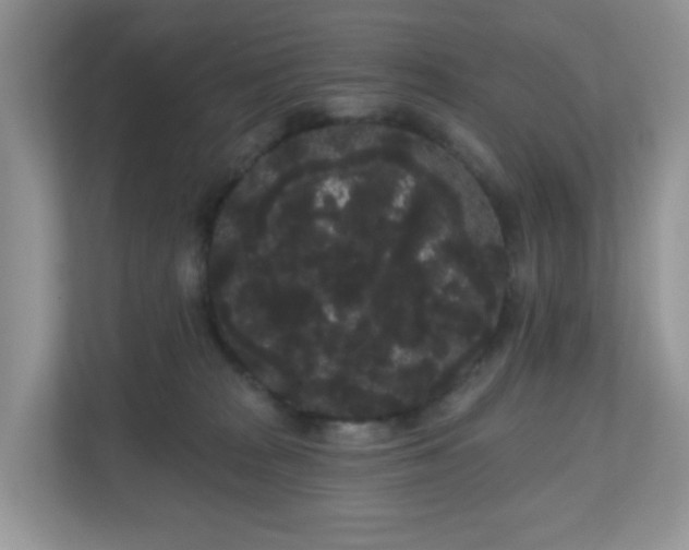 X0000111050277200907021625