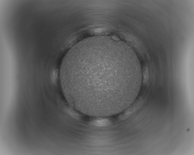 X0000111050278200907021625