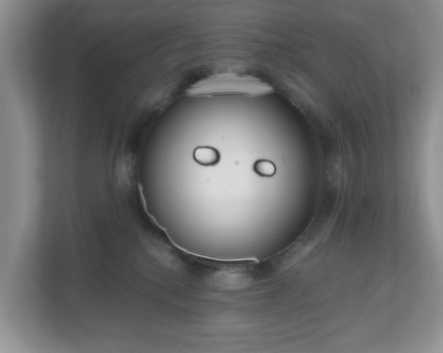 X0000111050280200907021626