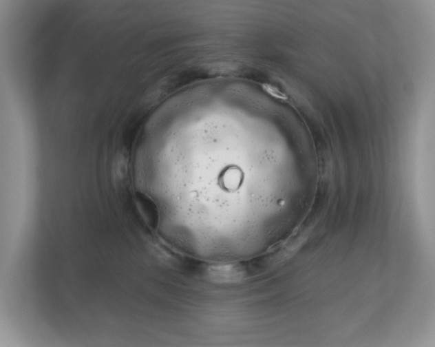 X0000111050281200907021626