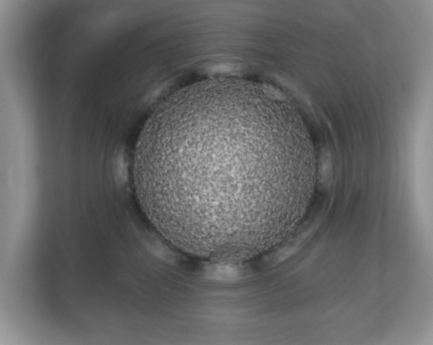 X0000111050282200907021626